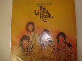 GRASSROOTS-More golden grass 1970 USA Psychedelic Rock