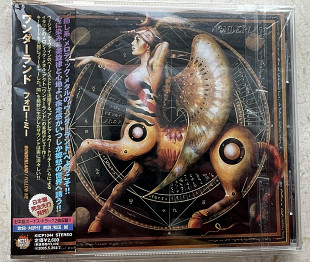 Wonderland - Follow Me