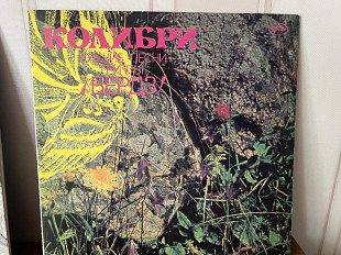 Колибри , Бердз -лучшее