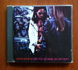 Lenny Kravitz – Are You Gonna Go My Way
