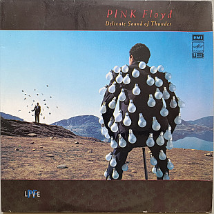 Pink Floyd - Delicate Sound of Thunder (2 LP)