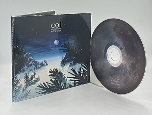 COIL – Musick to Play in the Dark (1999, U.S.A.)
