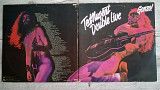 TED NUGENT GONZO ! DUOBLE LIVE ! 2 LP ( EPIC 88282 A1/B1/C1/D1 ) G/F 1978 HOLL