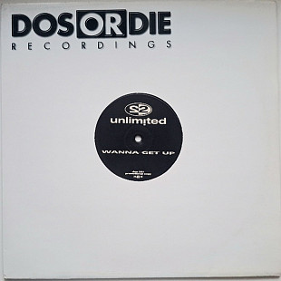 2 Unlimited - Wanna Get Up - 1998. Promo. (EP). 12. Vinyl. Пластинка. Germany.