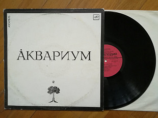 Аквариум (невеликий перекіс) (9)-Ex., Мелодія