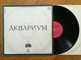 Аквариум (5)-Ex.+, Мелодія