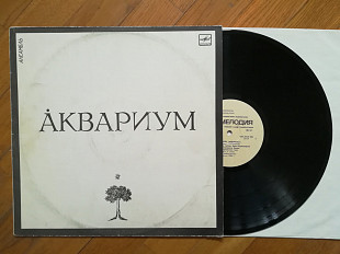 Аквариум (3)-NM, Мелодія