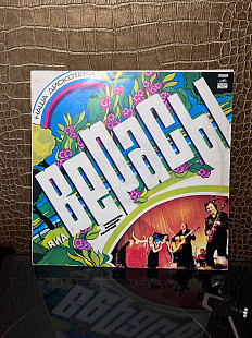 Мелодия "ВИА Верасы" (С60-14331)