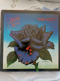 Thin lizzy black rose