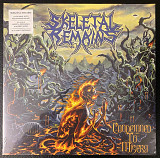 Skeletal Remains – Condemned To Misery LP