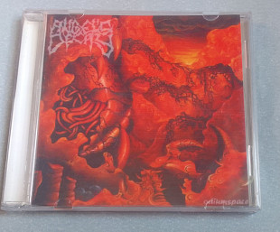 Angel's Decay - Odiumspace