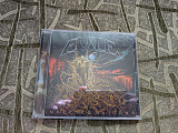 Evile – Infected Nations (Союз – MOSH337CD)