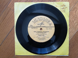 Поет Радмила Караклаич-Не осуждайте меня (2)-VG+, 7"-Мелодія