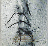 Scheer – Infliction ( USA )