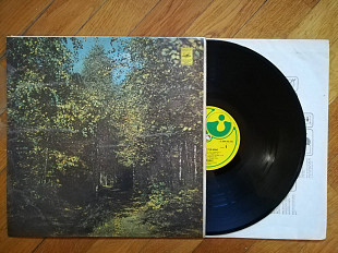 Vic Vergat-Down to the bone (лам. техн. конв.)-Ex., Німеччина