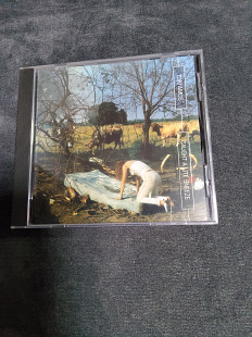 Tory Amos Caught a lite sneeze Single