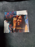 Bob Marley Dreams of freedom Ambient Translations of Bob Marley in Dub