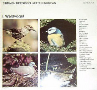 Stimmen der Vögel Mitteleuropas - I. Waldvögel