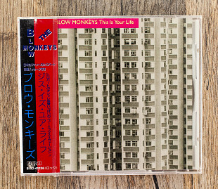 The Blow Monkeys - This Is Your Life (Японія)