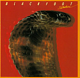 Blackfoot – Strikes