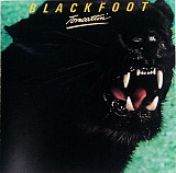 Blackfoot – Tomcattin'