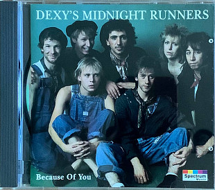 Dexys Midnight Runners – «Because Of You»