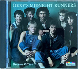 Dexys Midnight Runners – «Because Of You»