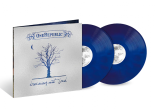 OneRepublic - Dreaming Out Loud
