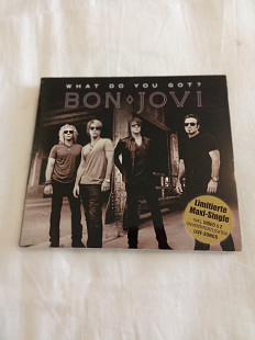 Bon Jovi/what do you got?/2010