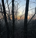 Various – Revenge Group (Coloured)