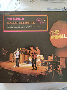 Animals.house of the rising sun