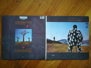 Пинк Флойд-Pink Floyd-Delicate sound of thunder (2)-2 LPs-NM, Мелодія