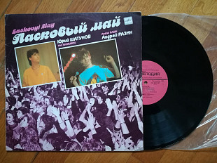 Ласковый май (4)-VG, Мелодія