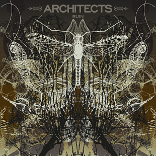 Architects – Ruin