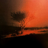 Joji – Piss In The Wind