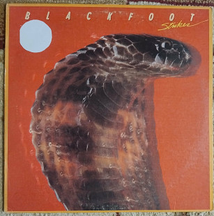 Blackfoot – Strikes