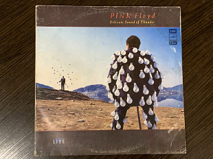 Pink Floyd “Delicate Sound of Thunder”