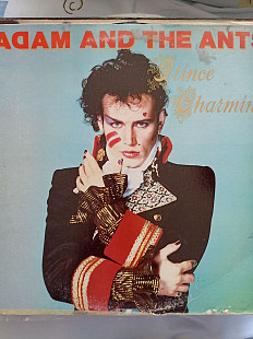 Adam and the ants prince charming