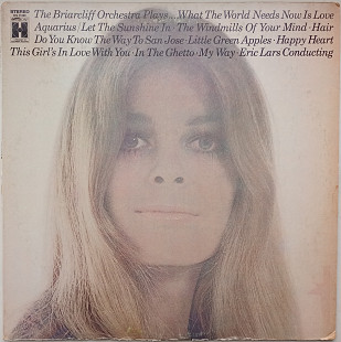 THE BRIARCLIFF ORCHESTRA PLAYS... Eric Lars Conducting LP VG+/VG-