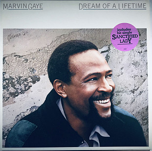Marvin Gaye ‎ (Dream Of A Lifetime) 1984. (LP). 12. Vinyl. Пластинка. Holland.