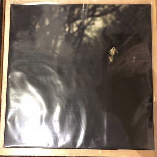 White Ward – Futility Report LP