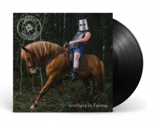 Steve 'N' Seagulls - Brothers In Farms