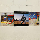 Pink Floyd LP Delicate Sound Of Thunder