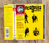 Incognito - Positivity (Японія)