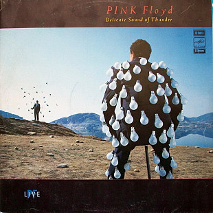 PINK FLOYD 2LP «Delicate Sound Of Thunder» ℗1988