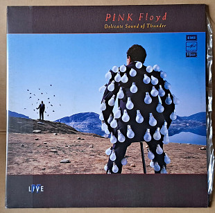Pink Floyd – Delicate Sound Of Thunder (2 LP) 1990 г.