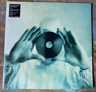 Porcupine Tree – Stupid Dream