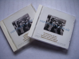 Surrender To The Air