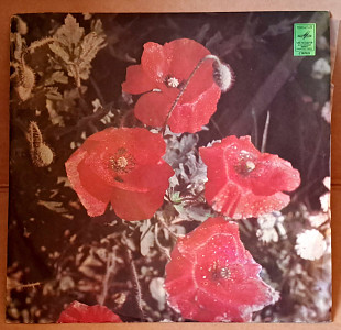 Вокально-Инструментальный Ансамбль «Teach-In» («Тич-Ин»)