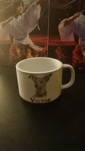 Чашка Victor